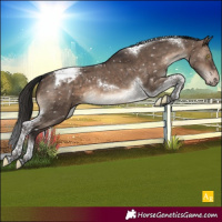 Horse Color:Brown Dun Tobiano Appaloosa Brindle 