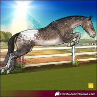 Horse Color:Brown Dun Mushroom Tobiano Appaloosa Brindle 