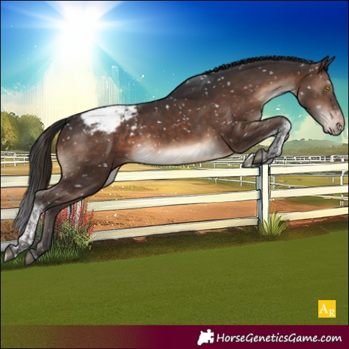 Horse Color:Brown Tobiano Snowcap
