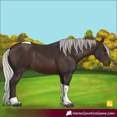 Horse Color:Silver Brown Tobiano Rabicano 