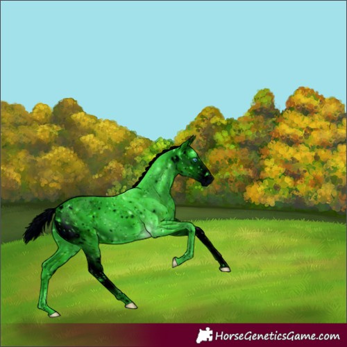 Horse Color:ERROR: UNKNOWN ANOMALY