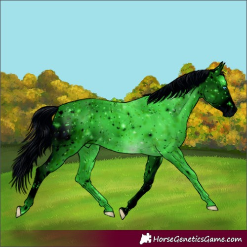 Horse Color:ERROR: UNKNOWN ANOMALY