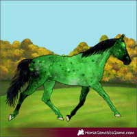Horse Color:ERROR: UNKNOWN ANOMALY