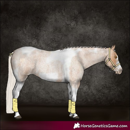 Horse Color:Silver Blue Roan Pearl Tobiano Frame
