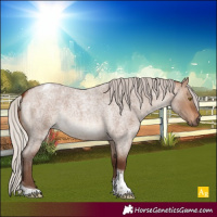 Horse Color:Silver Brown Roan Dun Tobiano 