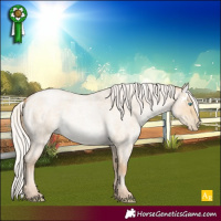 Horse Color:White Spotted Silver Buckskin Roan Pearl Dun 