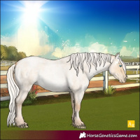 Horse Color:White Spotted Silver Buckskin Roan Pearl Dun