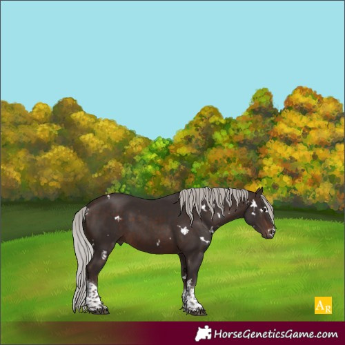 Horse Color:White Spotted Silver Brown Tobiano 