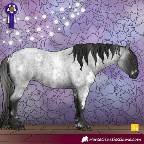 Horse Color:White Spotted Liver Red Roan 