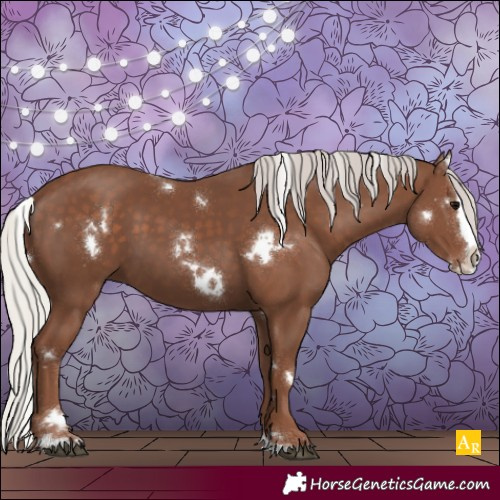 Horse Color:White Spotted Silver Black Splash