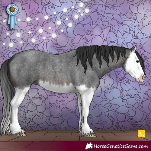 Horse Color:Brown Roan Splash 