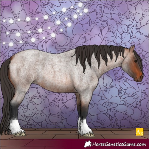 Horse Color:Bay Roan