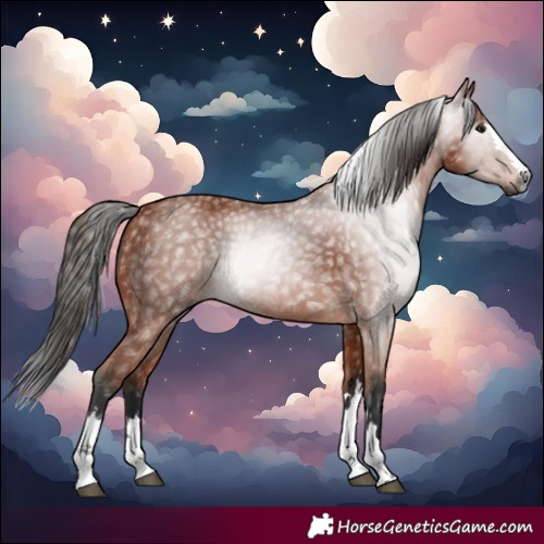 Horse Color:Gray Bay 