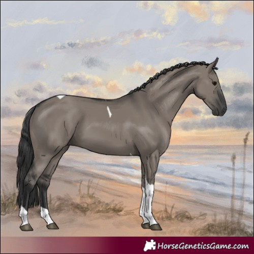 Horse Color:Grullo Tobiano 