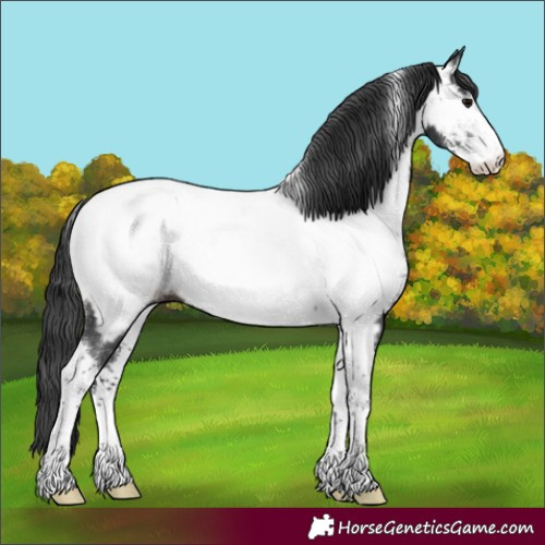 Horse Color:Brown Sabino Tobiano Near Fewspot Rabicano