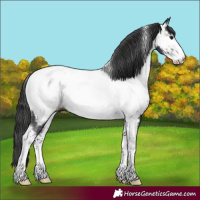 Horse Color:Brown Sabino Tobiano Near Fewspot Rabicano 