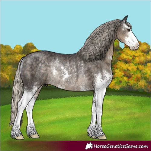 Horse Color:Silver Smoky Black Sabino Rabicano