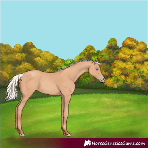 Horse Color:Silver Amber Champagne 