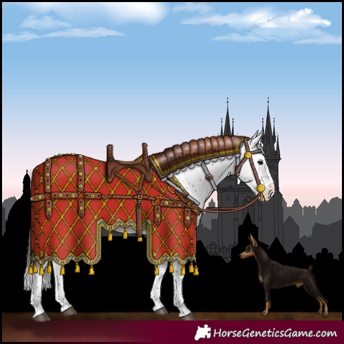 Horse Color:Smoky Black Sabino Appaloosa Rabicano