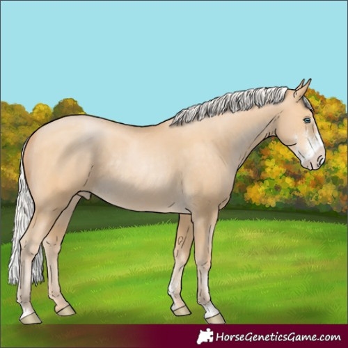 Horse Color:Silver Buckskin Pearl Sabino Rabicano 