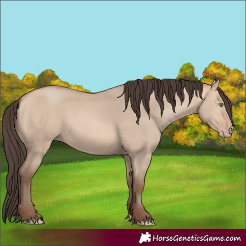 Horse Color:Amber Champagne Dun 
