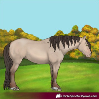 Horse Color:Amber Champagne Dun 