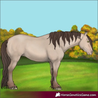Horse Color:Amber Champagne Dun 