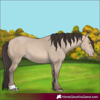 Horse Color:Sable Champagne Dun 