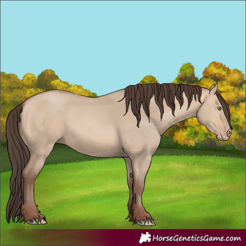 Horse Color:Amber Champagne Dun 