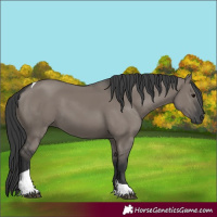 Horse Color:Grullo Tobiano