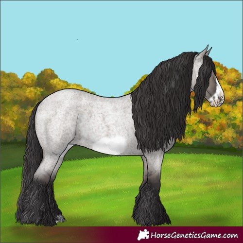 Horse Color:Smoky Grullo Roan Frame