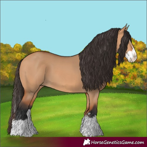 Horse Color:Bay Dun Splash 