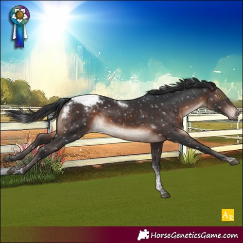 Horse Color:Brown Mushroom Tobiano Snowcap Rabicano