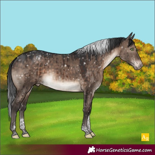 Horse Color:Brown Dun Mushroom Tobiano Snowcap Brindle 