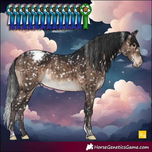 Horse Color:Brown Dun Tobiano Snowcap Brindle 