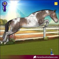Horse Color:Brown Dun Mushroom Tobiano Appaloosa Brindle 