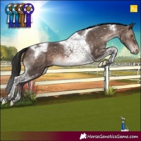 Horse Color:Brown Dun Mushroom Tobiano Appaloosa Brindle 