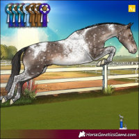 Horse Color:Brown Dun Mushroom Tobiano Appaloosa Brindle 