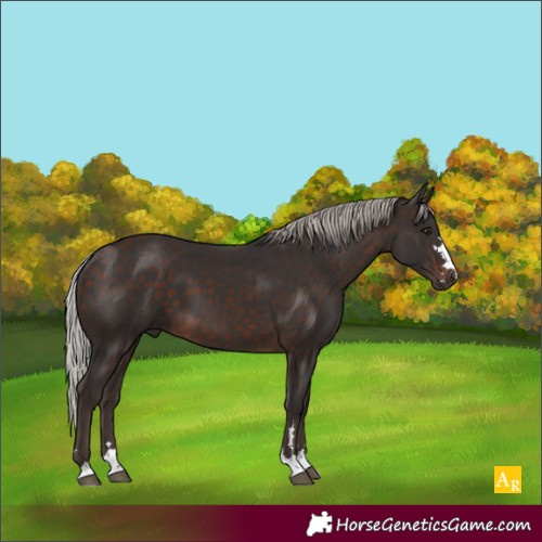 Horse Color:Silver Brown 