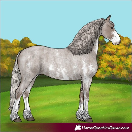Horse Color:Silver Blue Roan Sabino 