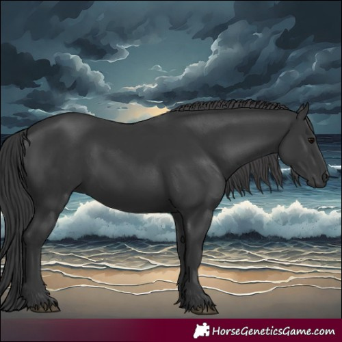 Horse Color:Black 