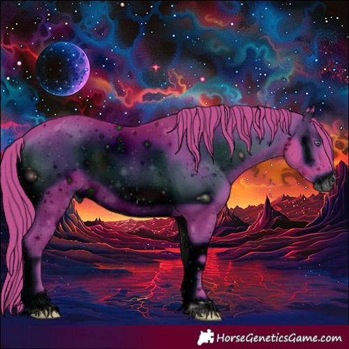 Horse Color:ERROR: UNKNOWN ANOMALY