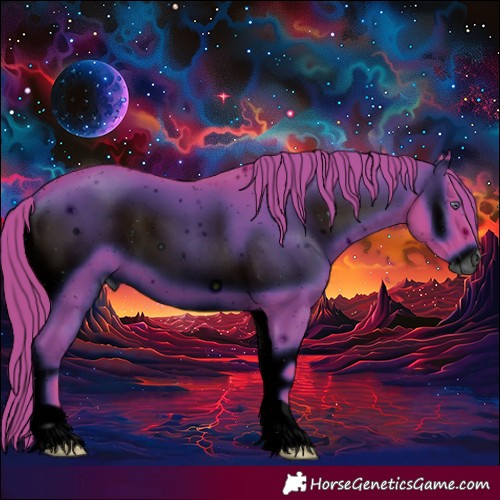 Horse Color:ERROR: UNKNOWN ANOMALY