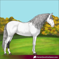 Horse Color:Platinum Buckskin Dun Tobiano Blanket 