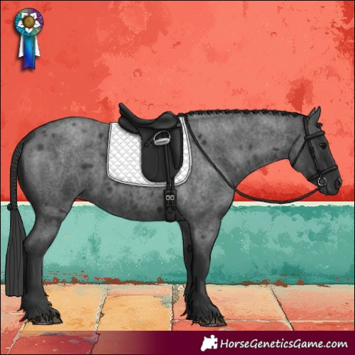 Horse Color:Blue Roan 