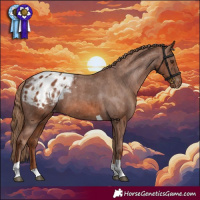 Horse Color:Chestnut Tobiano Appaloosa Rabicano 