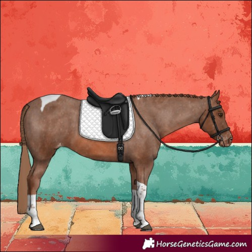 Horse Color:Chestnut Tobiano Varnish 