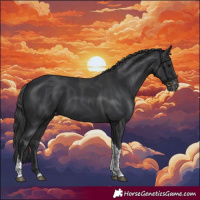 Horse Color:Black Tobiano Varnish 