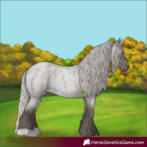 Horse Color:Silver Smoky Blue Roan 