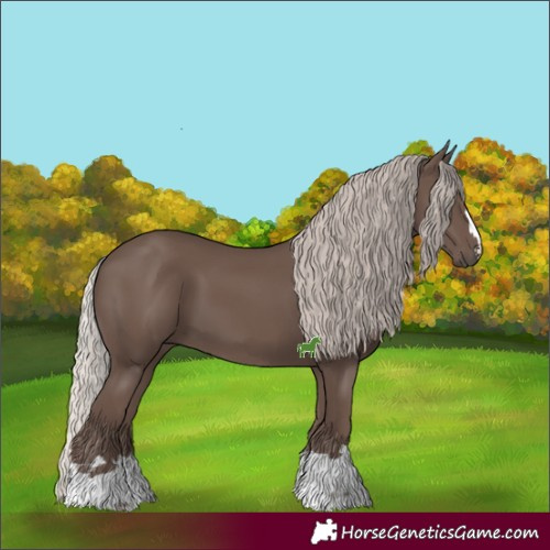Horse Color:Silver Black